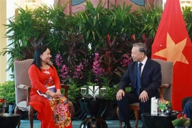 Le secrétaire général du Parti communiste du Vietnam (PCV), Tô Lâm, et Tran Thi Lam, conseillère de Shangri-La Healthcare Investment et cofondatrice de la société médicale Hoa Lâm Shangri-La. Photo: VNA