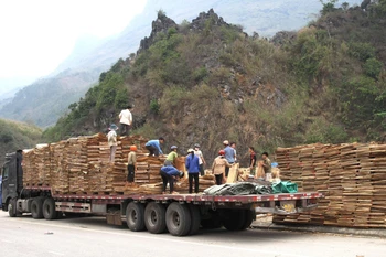 COVID-19: premiers lots d'exportation autorisés à la porte frontalière de Thanh Thuy