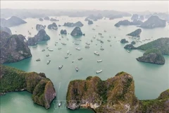 La baie de Ha Long, classée au patrimoine mondial de l’UNESCO, est située dans la province de Quang Ninh. Photo : VNA