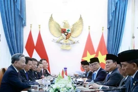 Entretien entre Tô Lâm et Prabowo Subianto. Photo : VNA 