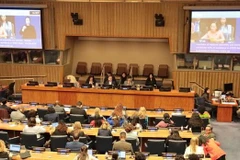 Le débat général de la 69e session de la Commission de la condition de la femme (CSW) du Conseil économique et social des Nations Unies (ECOSOC), le 11 mars à New York. Photo: VNA