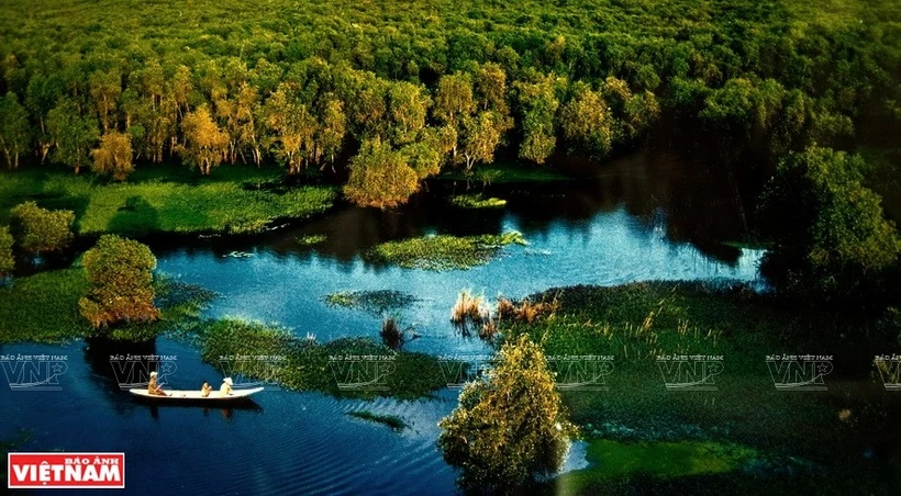 Les écosystèmes du parc national d’U Minh Thuong sont variés. Photo: VNP