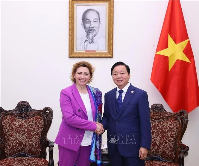 Le vice-Premier ministre Tran Hong Ha a reçu, jeudi 13 mars à Hanoï, Mme Nicola Beer, vice-présidente de la Banque européenne d'investissement. Photo : VNA