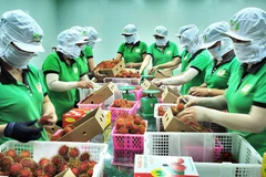 Le Vietnam et la Chine promeuvent les échanges agricoles et aquacoles