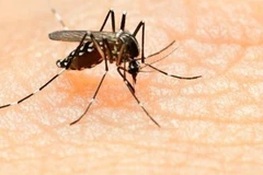 L’épidémie de Zika s'étend progressivement en Asie du Sud-Est