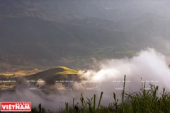 Tà Xùa, au pays des montagnes embrumées