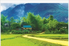 Immersion dans la culture Thai au village de Lac