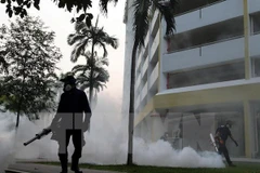 Singapour annonce 17 nouveaux cas d’infection au virus Zika