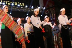 Ouverture de la fête de la culture des gôngs à Hoa Binh