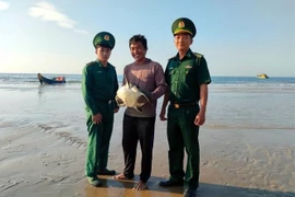 Une tortue de mer rare relâchée dans la nature