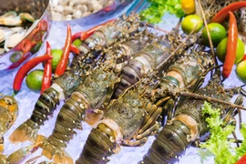 Les exportations nationales de homards vers la Chine ont retrouvé des couleurs