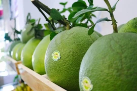 Le pomelo frais autorisé à être importé aux États-Unis