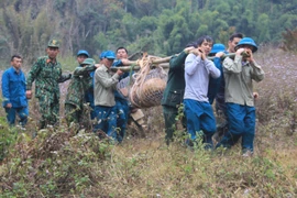 Son La: Une bombe de 600 kg désactivée