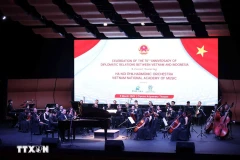 Le leader du Parti assiste à un concert pour les 70 ans de relations Vietnam-Indonésie 