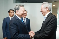 Le SG Tô Lâm (gauche) rencontre le ministre d'État et ministre coordinateur de la sécurité nationale de Singapour, Teo Chee Hean. Photo: VNA