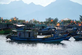 Bên Tre intensifie les mesures contre la pêche illicite avant la visite de la Commission européenne. Photo: VNA