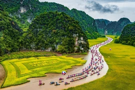 Procession en pirogue sur la rivirère de Ngô Dông lors de la fête de Tam Côc, dans le complexe paysager de Trang An. Photo: VNA