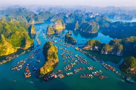 Hollywood vient de choisir Cat Bà (Hai Phong) comme lieu de tournage d'un nouveau projet de film qui devrait être largement diffusé sur Netflix et HBO. Photo: vneconomy.vn